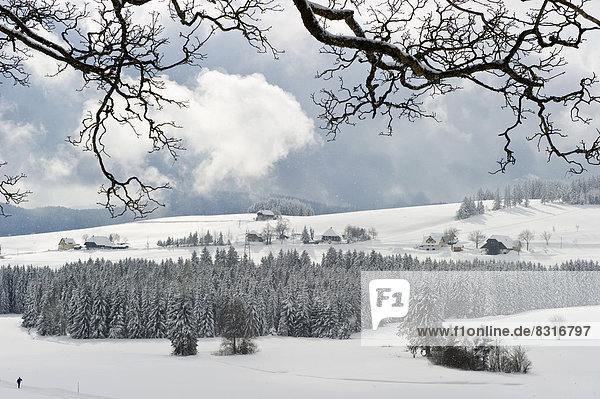 Schneedecke, Winter, Landschaft