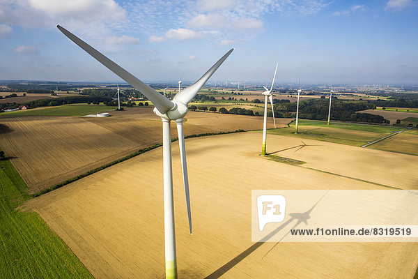Wind turbines in fields  wind farm