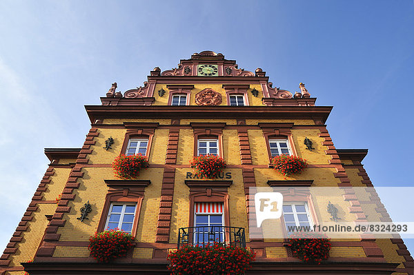 Herbolzheimer Rathaus im Stil der Neurenaissance  1891 - 1892  mit Blumenschmuck