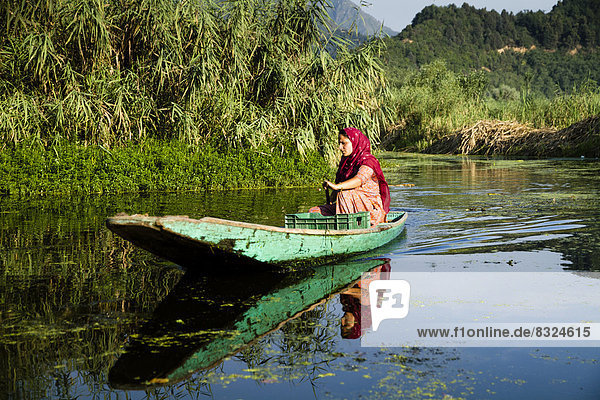 Frau in einem Shikara  traditionelles Boot  auf dem Dal-See