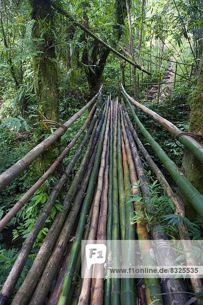'Bambus-Brücke zur Höhle ''Millennium Cave'''