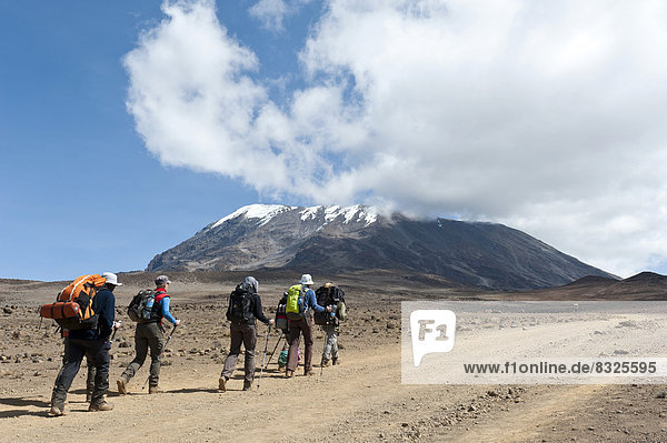 Group of hikers on a path at the Kibo saddle  Marangu route