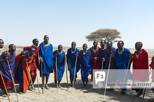Massai  Gruppe von Männern und Frauen beim Tanz