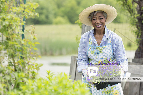 Senior  Senioren  Portrait  Frau  arbeiten  Garten