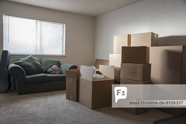 Living room filled with cardboard boxes