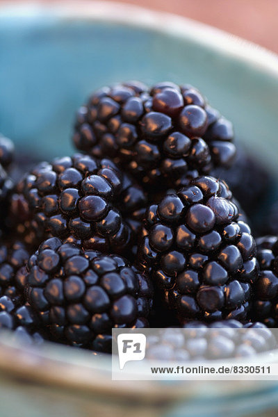 Detail of blackberries in bowl