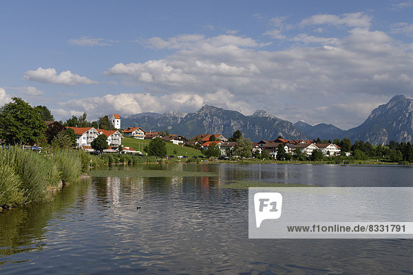 Deutschland Bayern Schwaben Ostallgäu Hopfen am See