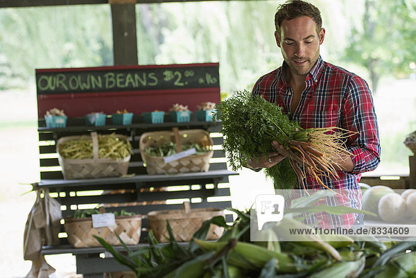 A farm stand with fresh organic vegetables and fruit. A man holding bunches of carrots.