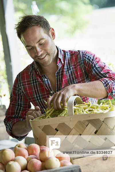 Ein Bauernstand mit frischem Bio-Gemüse und Obst. Ein Mann sortiert Bohnen in einem Korb.