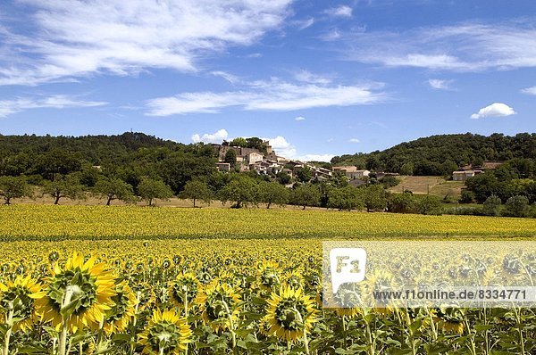 Village of Eurre (26) and field of sunflowers in the Drôme department.