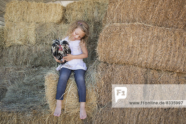 Young girl sitting on a hay bale  holding a chicken in her arms.