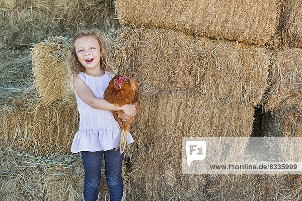 A young girl standing in a hay barn holding a chicken in her arms.