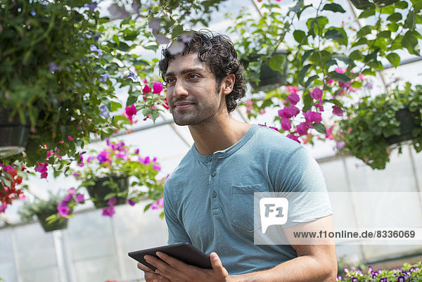A young man working in a plant nursery  surrounded by flowering plants.