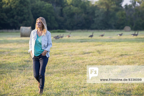A woman walking across a field  away from a flock of geese outdoors in the fresh air.