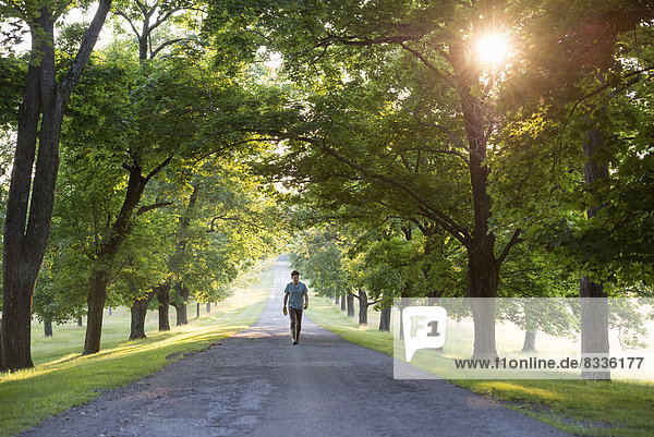 A man walking down a tree lined avenue in the countryside.