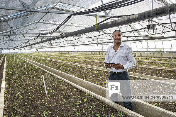 Ein kommerzielles Gewächshaus in einer Gärtnerei  die biologische Blumen anbaut. Ein Mann hält ein digitales Tablett in der Hand.