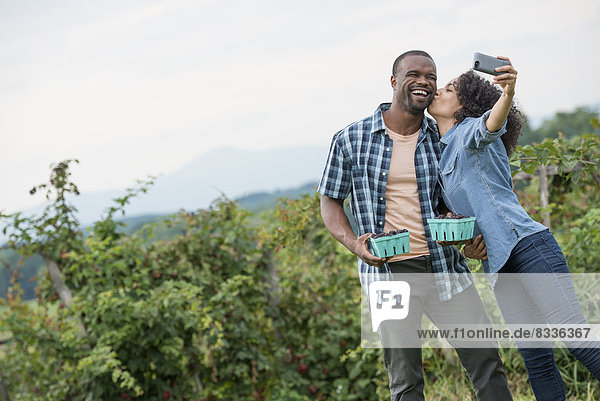 Picking blackberry fruits on an organic farm. A couple taking a selfy with a smart phone  and fruit picking.