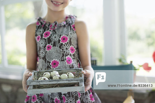 A young girl in a floral dress  examining a clutch of speckled bird eggs in a box.