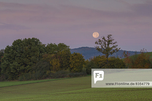 Landschaft bei Monduntergang  Offheim  Limburg an der Lahn  Hessen  Deutschland