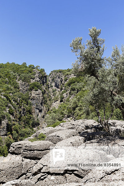 Schlucht  Taurusgebirge  Köprülü-Kanyon-Nationalpark  Provinz Antalya  Türkei