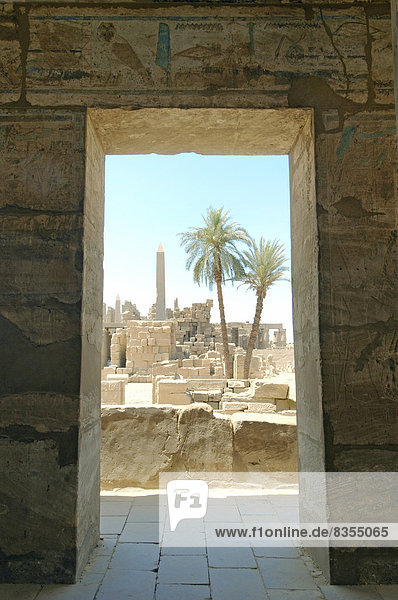 Farbige Hieroglyphen  Karnak-Tempel  UNESCO-Weltkulturerbe  Theben  Luxor  Gouvernement Luxor  Ägypten
