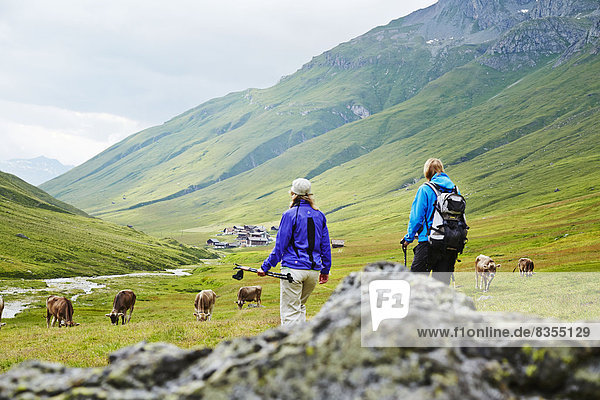 Zwei Frauen wandern bei Juf  Graubünden  Schweiz