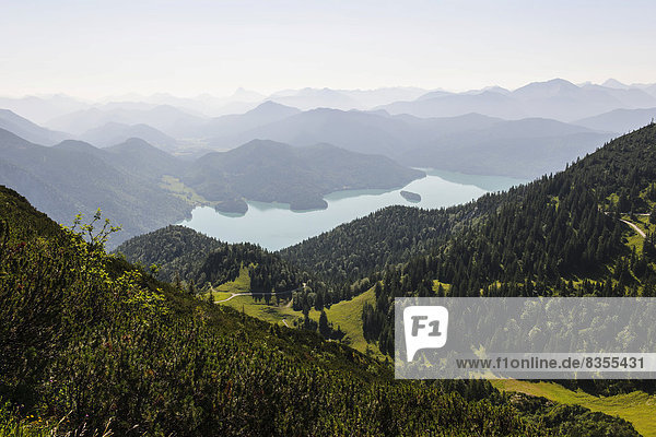 Der Walchensee vom Berg Herzogstand aus  Oberbayern  Bayern  Deutschland
