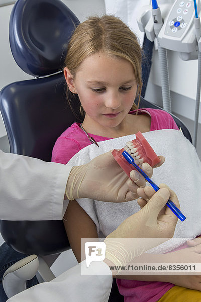 Zahnarzt zeigt einem Mädchen den richtigen Einsatz einer Zahnbürste  Deutschland