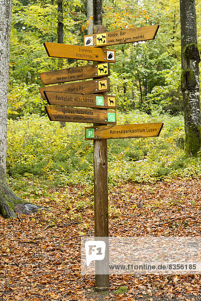 Wegweiser  Gehegezone Nationalpark Bayerischer Wald  Neuschönau  Niederbayern  Bayern  Deutschland