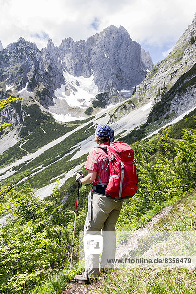 Female hiker looking towards the Wilder Kaiser Mountains from the Wilder-Kaiser-Steig hiking trail  Kaisergebirge  near Ellmau  Tyrol  Austria