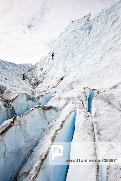 Ice climbers at the Worthington Glacier  Alaska  USA