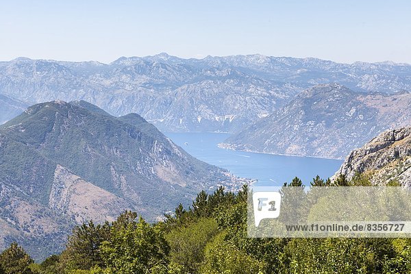 Außenaufnahme Europa Ansicht Bucht Kotor Montenegro