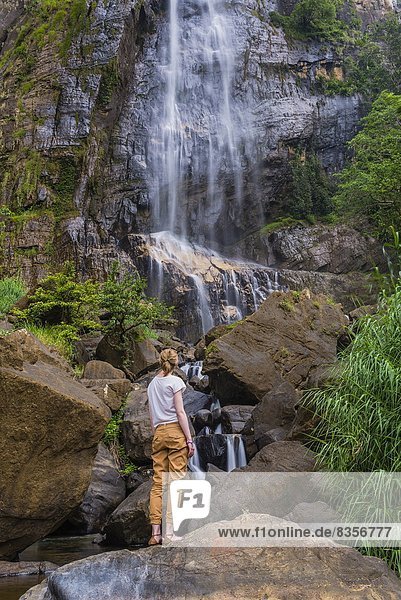 Tourist at Bambarakanda Falls  a waterfall near Haputale  Sri Lanka Hill Country  Nuwara Eliya District  Sri Lanka  Asia