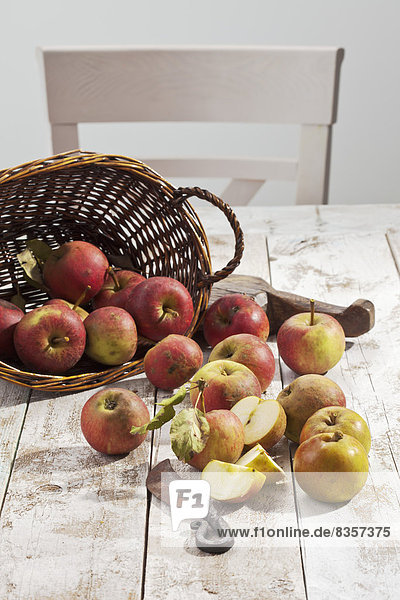 Bio-Äpfel (Malus)  Korb und Messer auf weißem Holztisch  Studioaufnahme