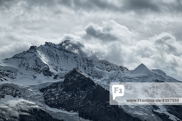 Schweiz  Berner Oberland  Jungfrau  unter Schwarzmoench und Silberhorn