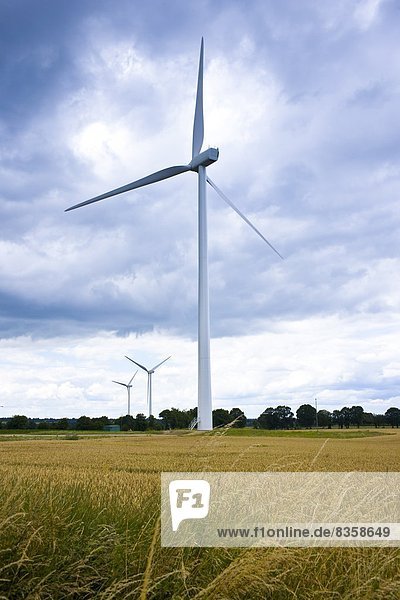 Windturbine Windrad Windräder Ländliches Motiv ländliche Motive Frankreich Windenergie Wiese Normandie