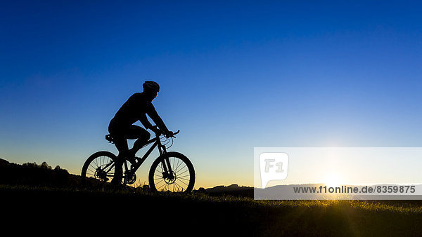 Deutschland  Winterbach  Radfahrer auf dem Mountainbike bei Sonnenuntergang
