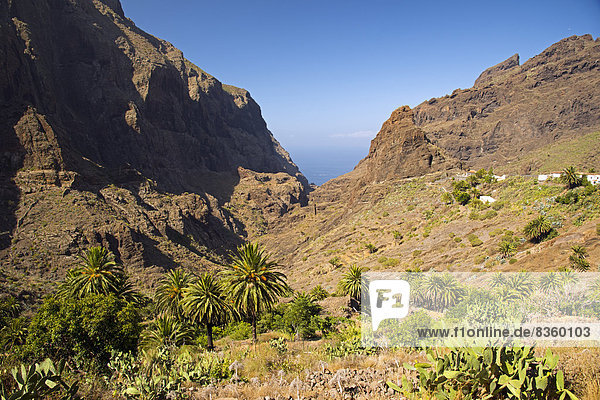 Tenerife  Teno Mountains  Masca