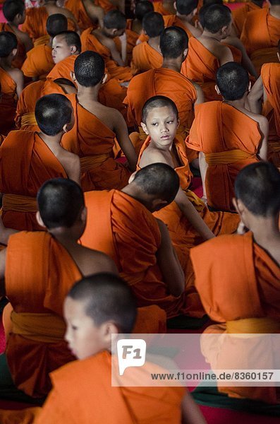 Zeremonie  Südostasien  Asien  Chiang Mai  Schulabschluß  Mönch  Thailand  Wat Phra Singh