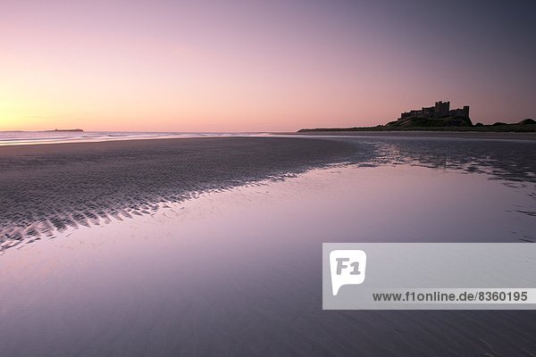 Europa  Palast  Schloß  Schlösser  Strand  Großbritannien  Morgendämmerung  England  Northumberland