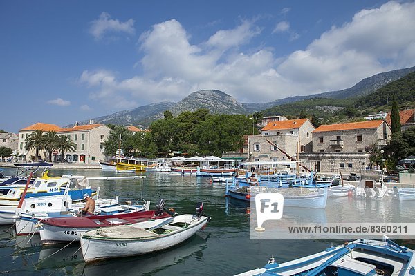 Harbour with fishing boats  Bol  Brac Island  Dalmatian Coast  Croatia  Europe