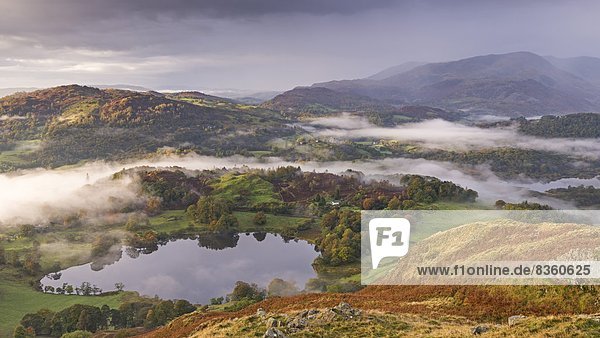 Europa  bedecken  Großbritannien  Landschaft  Dunst  Herbst  umgeben  Cumbria  England  Lake District  Tarn