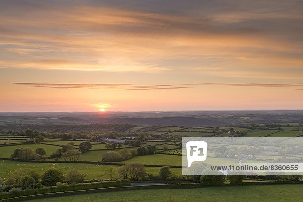 rollen  Europa  Schönheit  Ländliches Motiv  ländliche Motive  Sommer  Sonnenuntergang  Großbritannien  über  Devon  England