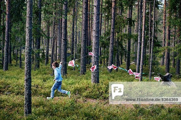 Junge rennt durch den Wald und zieht Fähnchen