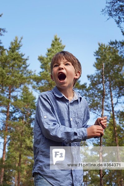Junge steht im Wald  hält Stock  Mund offen und schreit