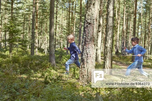 Brüder laufen durch den Wald und tragen Stöcke.