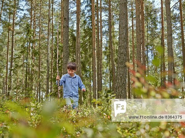 Junge geht durch den Wald und trägt Stock