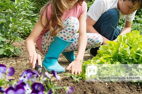 Bruder und Schwester Gartenarbeit