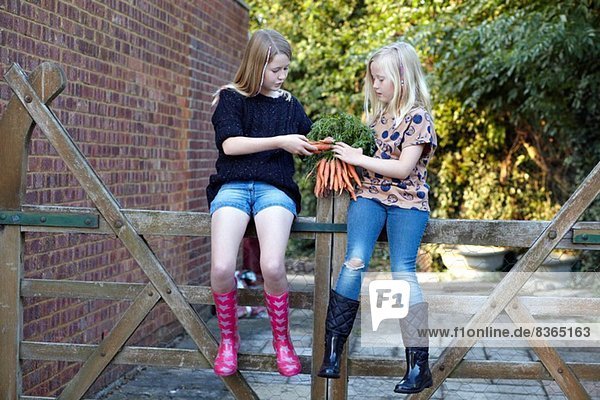 Zwei Mädchen im Garten halten einen Haufen Karotten.