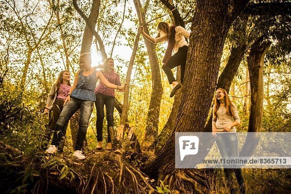 Fünf junge Frauen erkunden den Wald